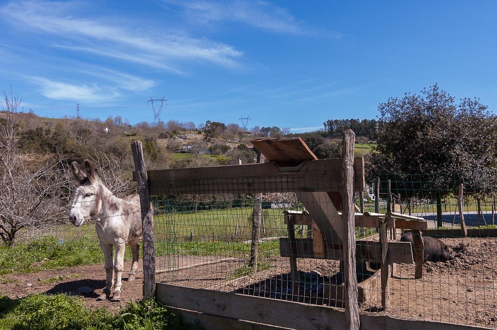 Casa Rural Restaurante Aranburu เซสโตอา ภายนอก รูปภาพ